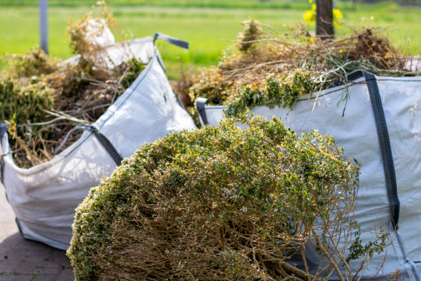 Best Attic Cleanout  in Decherd, TN